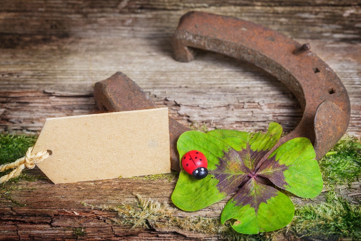 … und ein neues… Jahr beginnt! *sing*