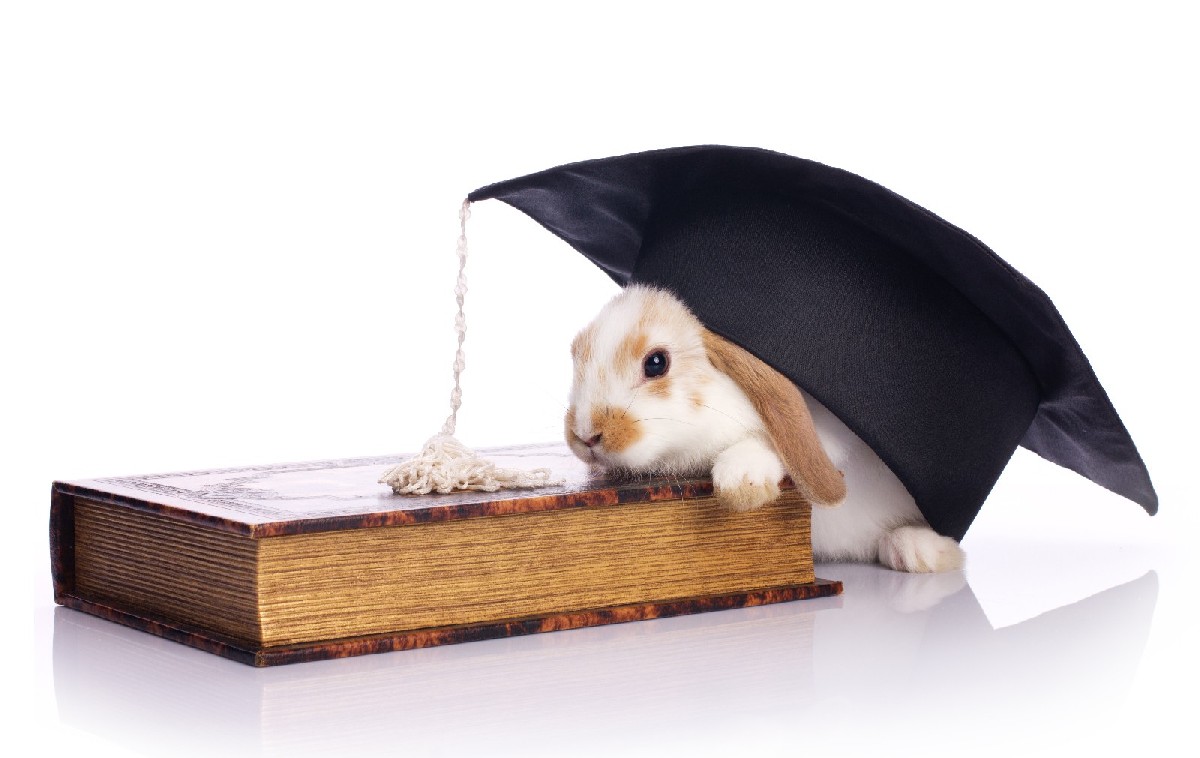 NEED: Eure Mithilfe! - Kleine Umfrage zur sexuellen Zufriedenheit für meine Doktorarbeit