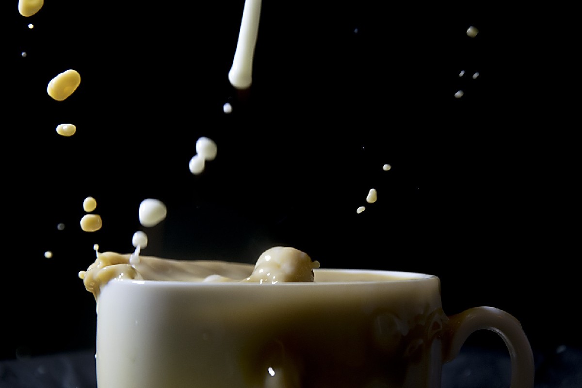 Cum Cooking - Ist Kochen mit Sperma erotisch oder kurios?