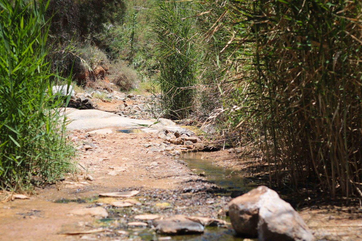 Fuerteventura Tipps, Fuerteventura Ausflüge, Fuerteventura schönste Strände, Fuerteventura Lajares, Fuerteventura Corralejo, Fuerteventura El Cotillo, Fuerteventura wandern, Fuerteventura Rundreise, Fuerteventura Lagune