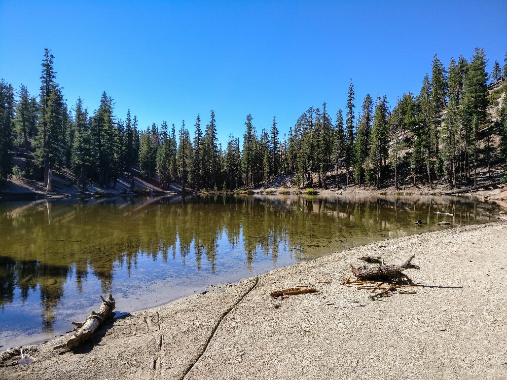 Kalifornien Rundreise, Rundreise planen, Kalifornien Rundreise planen, USA Westen Route, Kalifornien Rundreise Route, Kalifornien Tipps, Kalifornien Rundreise Tipps, Kalifornien Nationalparks, Mammoth Lakes Sommer, Mono Lake Ausflug, South Lake Tahoe, Lake Tahoe Tipps, Postmarc Hotel, Muir Woods Nationalpark, Muir Woods Eintritt, USA Westküste Rundreise, San Francisco Sehenswürdigkeiten, USA Rundreise, Amerika Rundreise, USA Tanken, Westküste, Kalifornien gefährliche Tiere, Devils Postpile