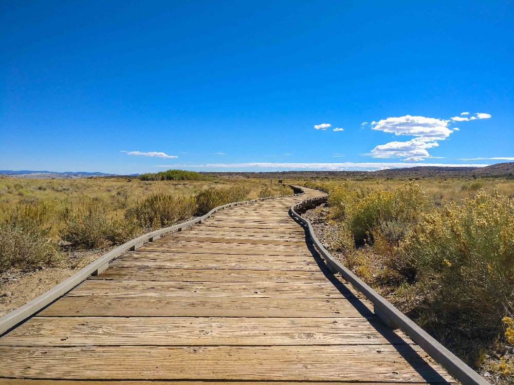 Kalifornien Rundreise, Rundreise planen, Kalifornien Rundreise planen, USA Westen Route, Kalifornien Rundreise Route, Kalifornien Tipps, Kalifornien Rundreise Tipps, Kalifornien Nationalparks, Mammoth Lakes Sommer, Mono Lake Ausflug, South Lake Tahoe, Lake Tahoe Tipps, Postmarc Hotel, Muir Woods Nationalpark, Muir Woods Eintritt, USA Westküste Rundreise, San Francisco Sehenswürdigkeiten, USA Rundreise, Amerika Rundreise, USA Tanken, Westküste, Kalifornien gefährliche Tiere, Mono Lake Herbst, Mono Lake