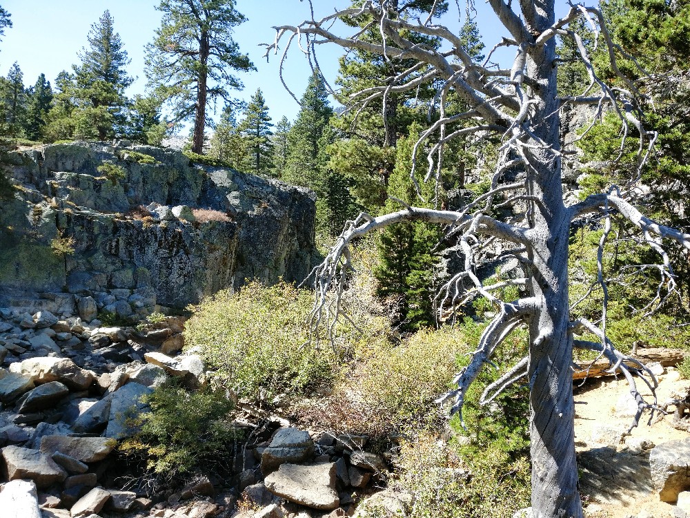 Kalifornien Rundreise, Rundreise planen, Kalifornien Rundreise planen, USA Westen Route, Kalifornien Rundreise Route, Kalifornien Tipps, Kalifornien Rundreise Tipps, Kalifornien Nationalparks, Mammoth Lakes Sommer, Mono Lake Ausflug, South Lake Tahoe, Lake Tahoe Tipps, Postmarc Hotel, Muir Woods Nationalpark, Muir Woods Eintritt, USA Westküste Rundreise, San Francisco Sehenswürdigkeiten, USA Rundreise, Amerika Rundreise, USA Tanken, Westküste, Kalifornien gefährliche Tiere, Eagle Falls, Eagle Falls Wanderung, Emerald Bay