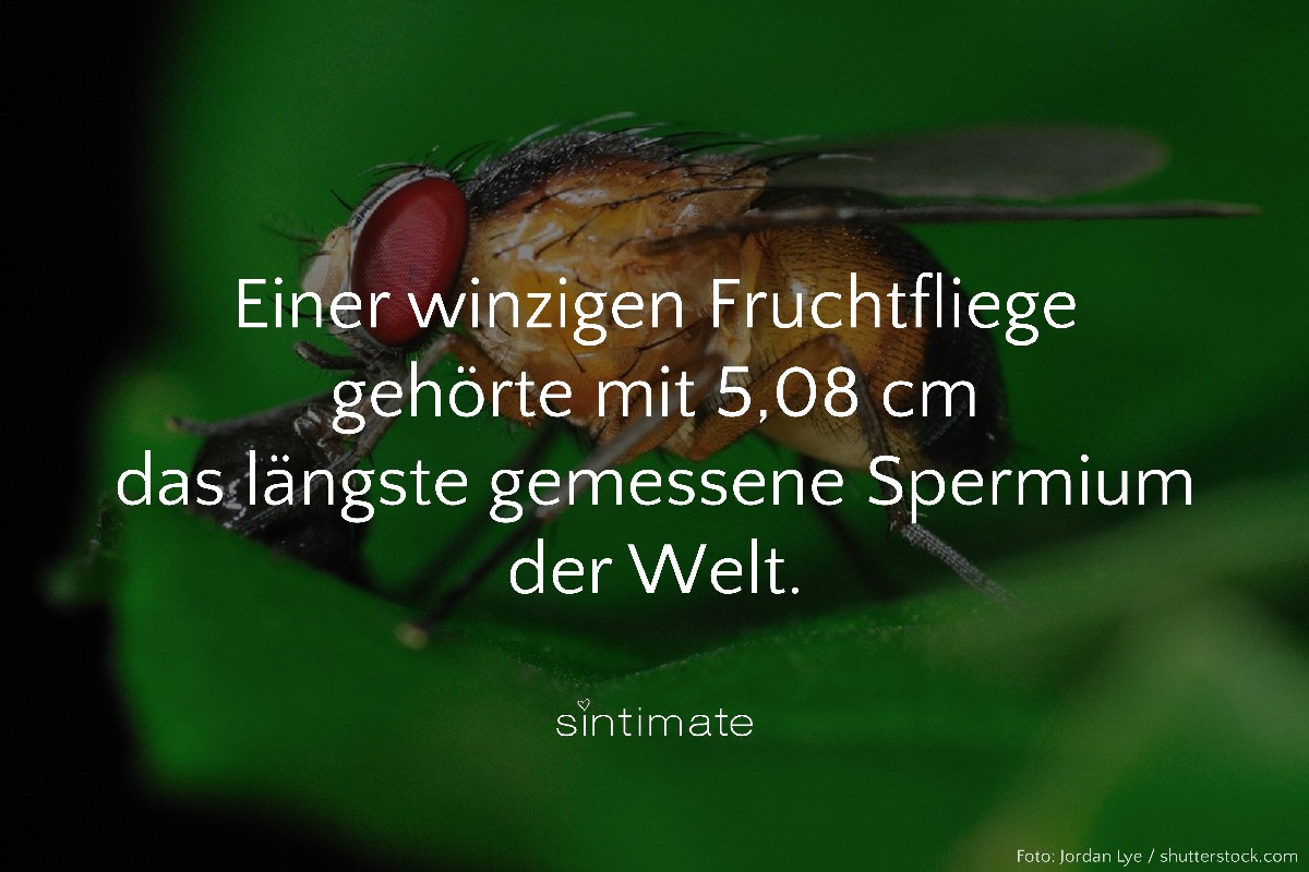 Fun Fact #80
