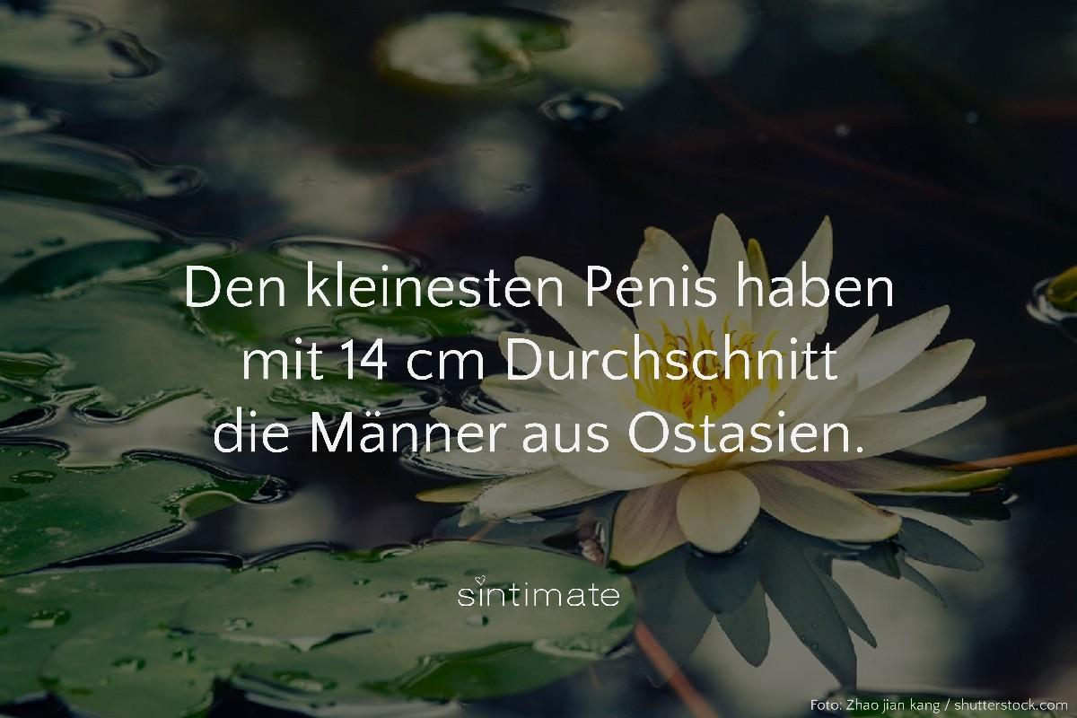 kleinster Penis, kleiner Penis, Penis Rekord, Penis Weltrekord, Penis Asien, Sex Fakten