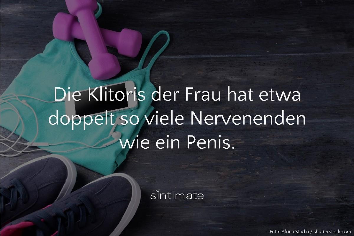 Klitoris Penis, Klitoris Nerven, Penis Nerven, Klitoris reizen, Sex Fakten