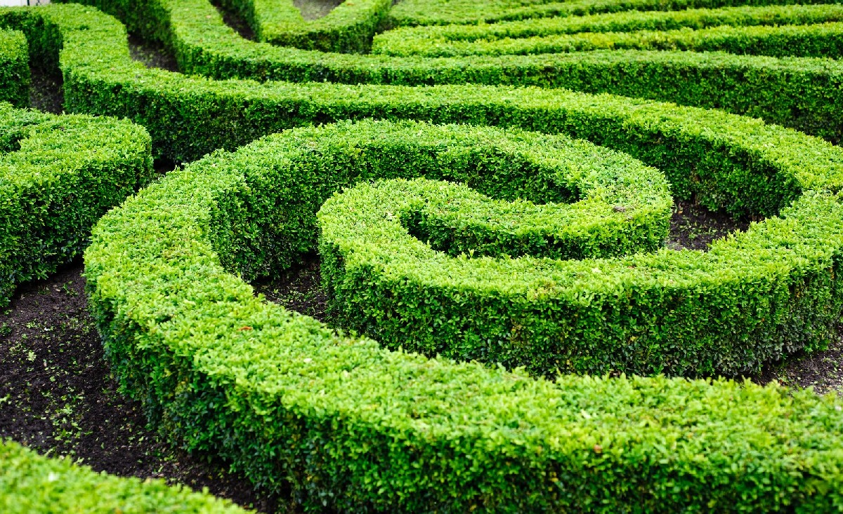 Meine Entscheidung für die Gynefix…