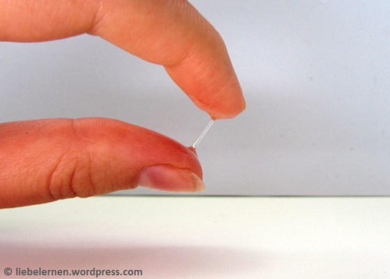 Bioglide, Gleitgel, Gleitmittel, vegan, Carrageen, Joydivision Bioglide, Joydivision