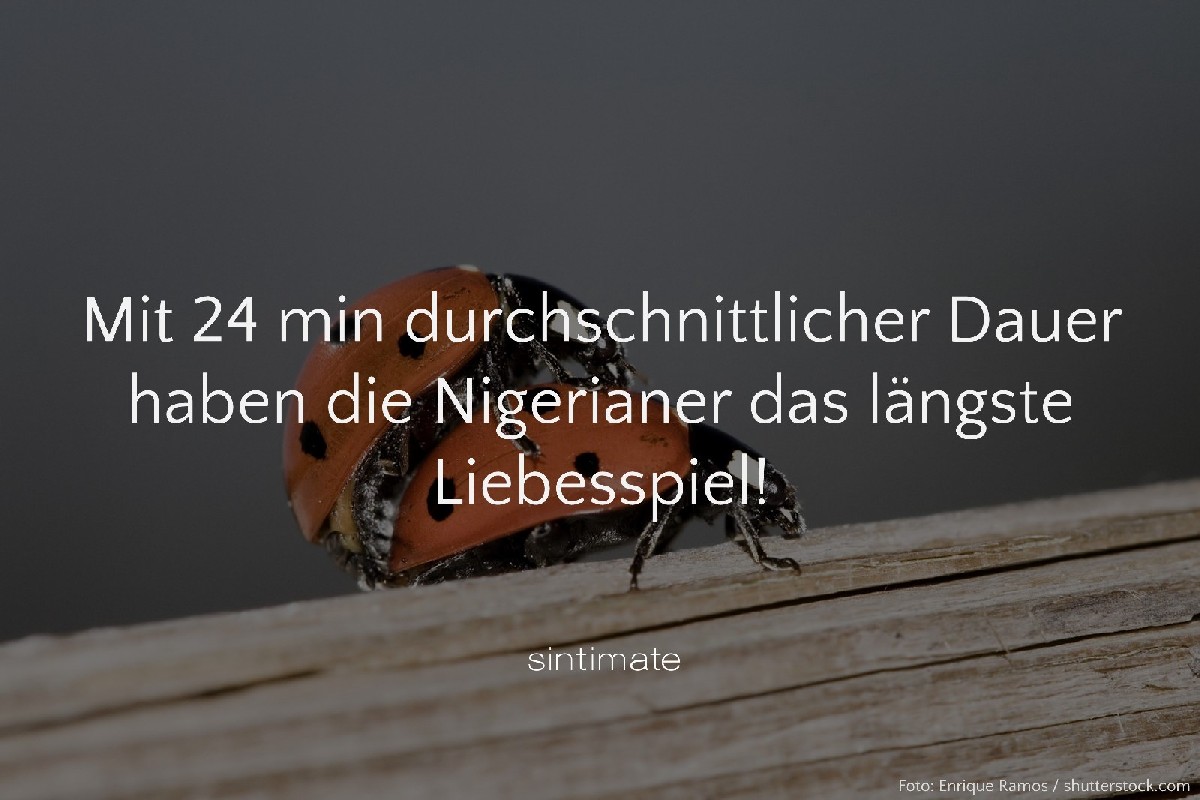 Sex Fakten, wie lange Sex, längste Dauer Sex