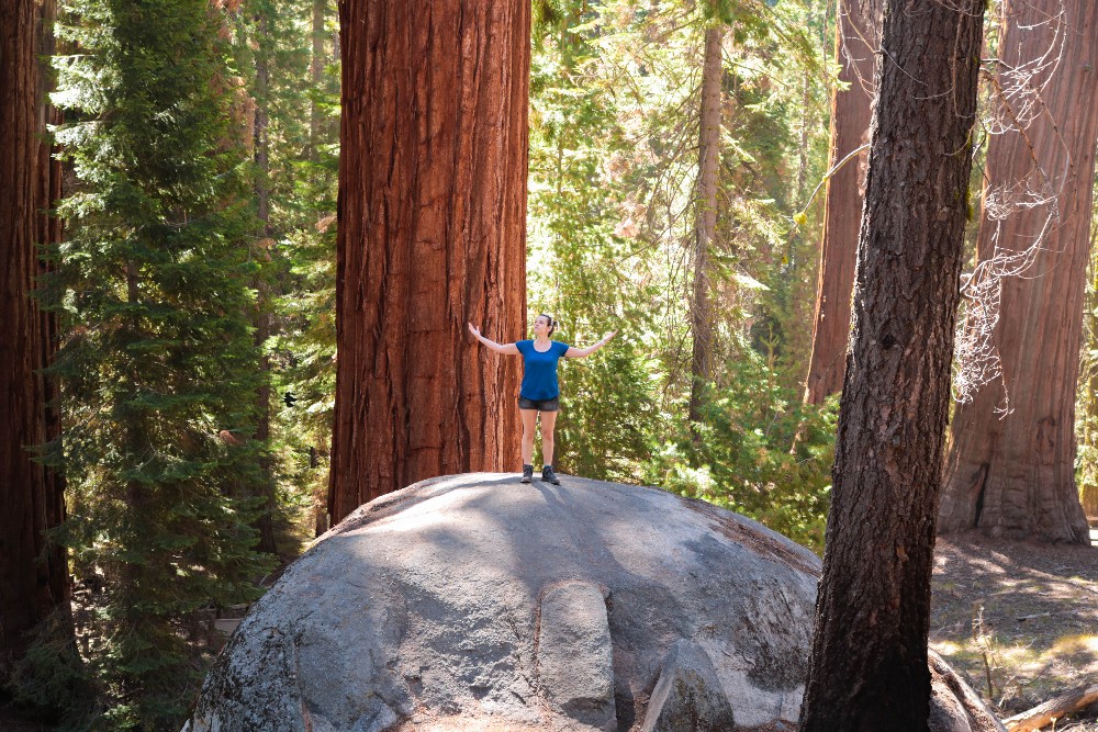 Kalifornien Rundreise, Rundreise planen, Kalifornien Rundreise planen, USA Westen Route, Kalifornien Rundreise Route, Kalifornien Tipps, Kalifornien Rundreise Tipps, Kalifornien Nationalparks, Death Valley Tipps, USA Westküste Rundreise, USA Rundreise, Amerika Rundreise, USA Tanken, Westküste, Kalifornien gefährliche Tiere, USA Nationalparks, Kings Canyon
