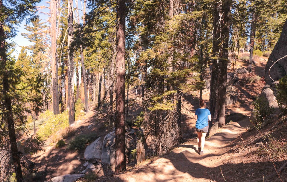 Kalifornien Rundreise, Rundreise planen, Kalifornien Rundreise planen, USA Westen Route, Kalifornien Rundreise Route, Kalifornien Tipps, Kalifornien Rundreise Tipps, Kalifornien Nationalparks, Death Valley Tipps, USA Westküste Rundreise, USA Rundreise, Amerika Rundreise, USA Tanken, Westküste, Kalifornien gefährliche Tiere, USA Nationalparks
