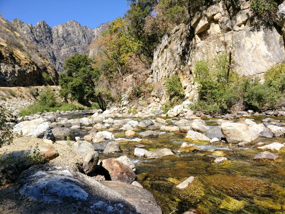 Kalifornien Rundreise, Rundreise planen, Kalifornien Rundreise planen, USA Westen Route, Kalifornien Rundreise Route, Kalifornien Tipps, Kalifornien Rundreise Tipps, Kalifornien Nationalparks, USA Westküste Rundreise, USA Rundreise, Amerika Rundreise, USA Tanken, Westküste, Kalifornien gefährliche Tiere, USA Nationalparks, Kings Canyon