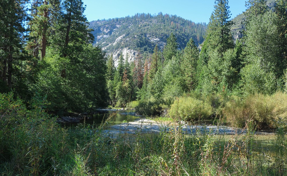 Kalifornien Rundreise, Rundreise planen, Kalifornien Rundreise planen, USA Westen Route, Kalifornien Rundreise Route, Kalifornien Tipps, Kalifornien Rundreise Tipps, Kalifornien Nationalparks, Death Valley Tipps, USA Westküste Rundreise, USA Rundreise, Amerika Rundreise, USA Tanken, Westküste, Kalifornien gefährliche Tiere, USA Nationalparks, Roaring River Falls Herbst