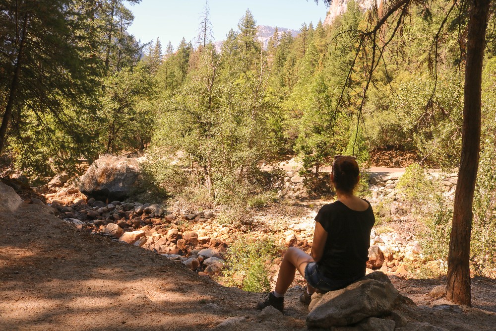 Kalifornien Rundreise, Rundreise planen, Kalifornien Rundreise planen, USA Westen Route, Kalifornien Rundreise Route, Kalifornien Tipps, Kalifornien Rundreise Tipps, Kalifornien Nationalparks, Death Valley Tipps, USA Westküste Rundreise, USA Rundreise, Amerika Rundreise, USA Tanken, Westküste, Kalifornien gefährliche Tiere, USA Nationalparks