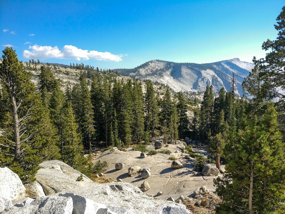Kalifornien Rundreise, Rundreise planen, Kalifornien Rundreise planen, USA Westen Route, Kalifornien Rundreise Route, Kalifornien Tipps, Kalifornien Rundreise Tipps, Kalifornien Nationalparks, Death Valley Tipps, USA Westküste Rundreise, USA Rundreise, Amerika Rundreise, USA Tanken, Westküste, Kalifornien gefährliche Tiere, USA Nationalparks, Tioga Pass