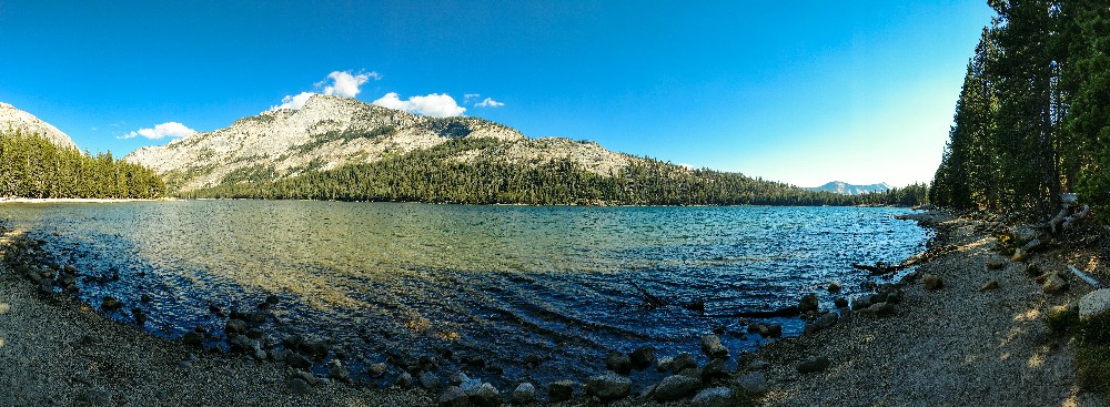 Kalifornien Rundreise, Rundreise planen, Kalifornien Rundreise planen, USA Westen Route, Kalifornien Rundreise Route, Kalifornien Tipps, Kalifornien Rundreise Tipps, Kalifornien Nationalparks, Death Valley Tipps, USA Westküste Rundreise, USA Rundreise, Amerika Rundreise, USA Tanken, Westküste, Kalifornien gefährliche Tiere, USA Nationalparks, Tioga Pass