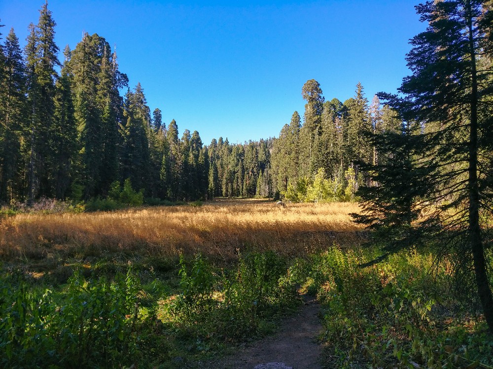 Kalifornien Rundreise, Rundreise planen, Kalifornien Rundreise planen, USA Westen Route, Kalifornien Rundreise Route, Kalifornien Tipps, Kalifornien Rundreise Tipps, Kalifornien Nationalparks, Death Valley Tipps, USA Westküste Rundreise, USA Rundreise, Amerika Rundreise, USA Tanken, Westküste, Kalifornien gefährliche Tiere, USA Nationalparks