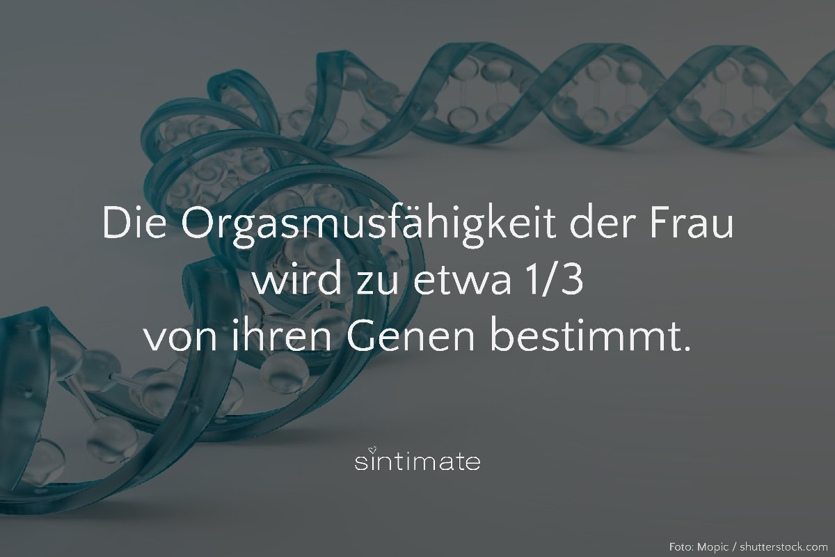 Orgasmus genetisch, Orgasmus Gene, Orgasmus vererbbar, Sex Fakten
