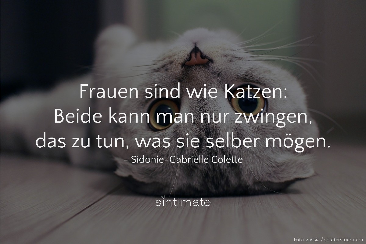 Frauen Katzen, Frauen Vergleich, Zitat Colette