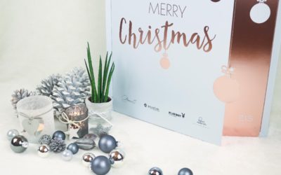 EIS Adventskalender 2017 – Inhalt von Deluxe vs. Premium und Fazit